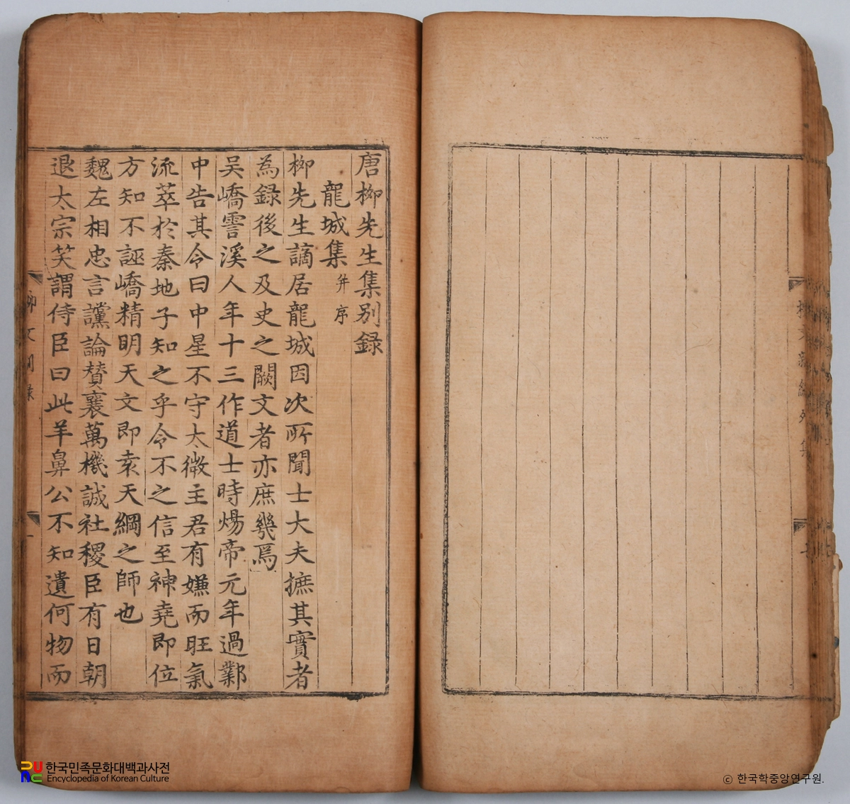 선산 노진환 소장 전적 / 당유선생외집 별록