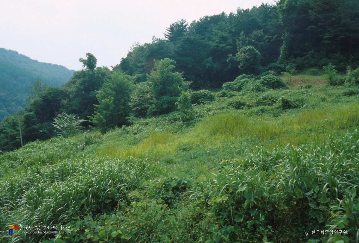 공주 남혈사지