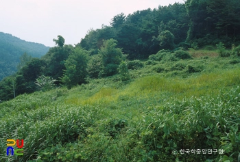 공주 남혈사지