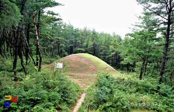 경주 진흥왕릉 우측면