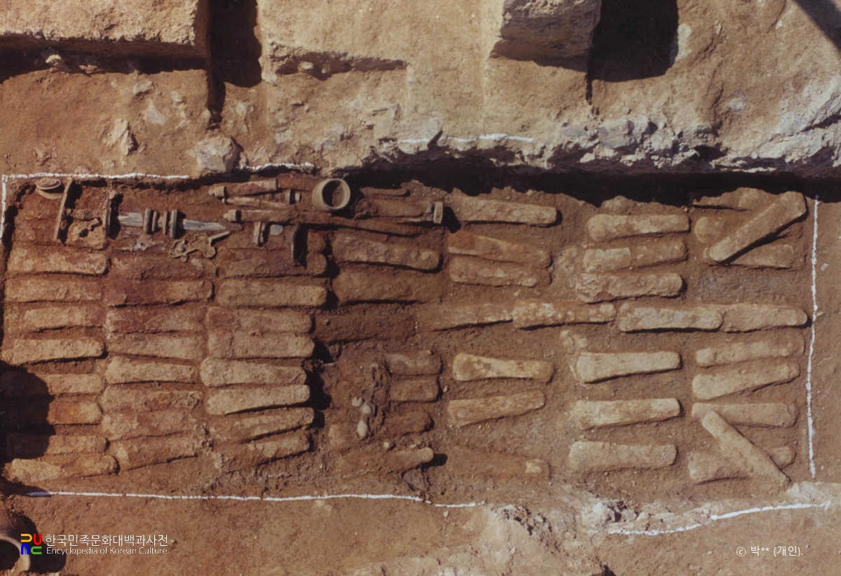 경주 사라리 고분군 중 제130호분 나무관