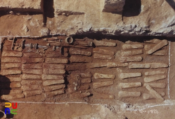 경주 사라리 고분군 중 제130호분 나무관