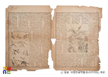 붉은 저고리(창간호)　/　다음엇지(대길이네 개와 밧 담뷔)