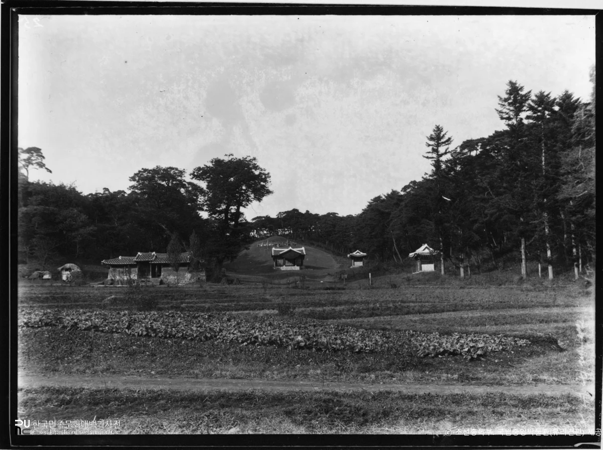 국립중앙박물관 소장 유리건판　/　고려 태조 현릉 전경