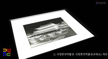 국립중앙박물관 소장 유리건판　/　유리건판 실물 모습