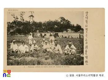 알레베크 사진엽서　/　(08) 밭에서 앉아 쉬고 있는 농사꾼들이 찍힌 사진