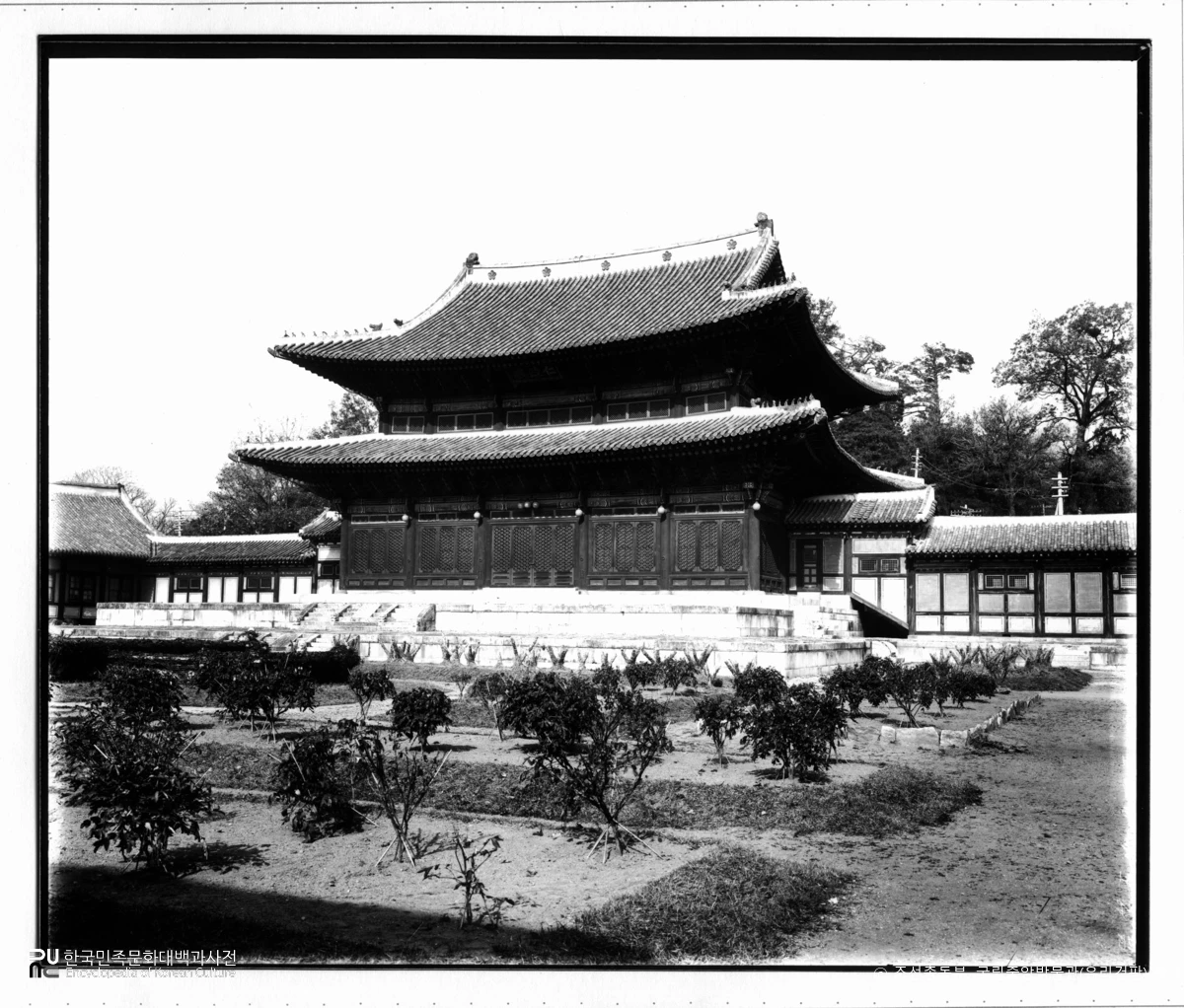 국립중앙박물관 소장 유리건판　/　창덕궁 인정전