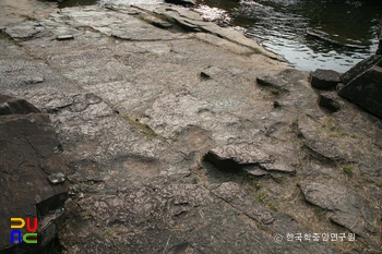 울주 천전리 공룡발자국 화석