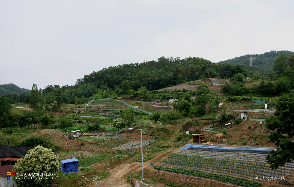 구미 황상동 고분군