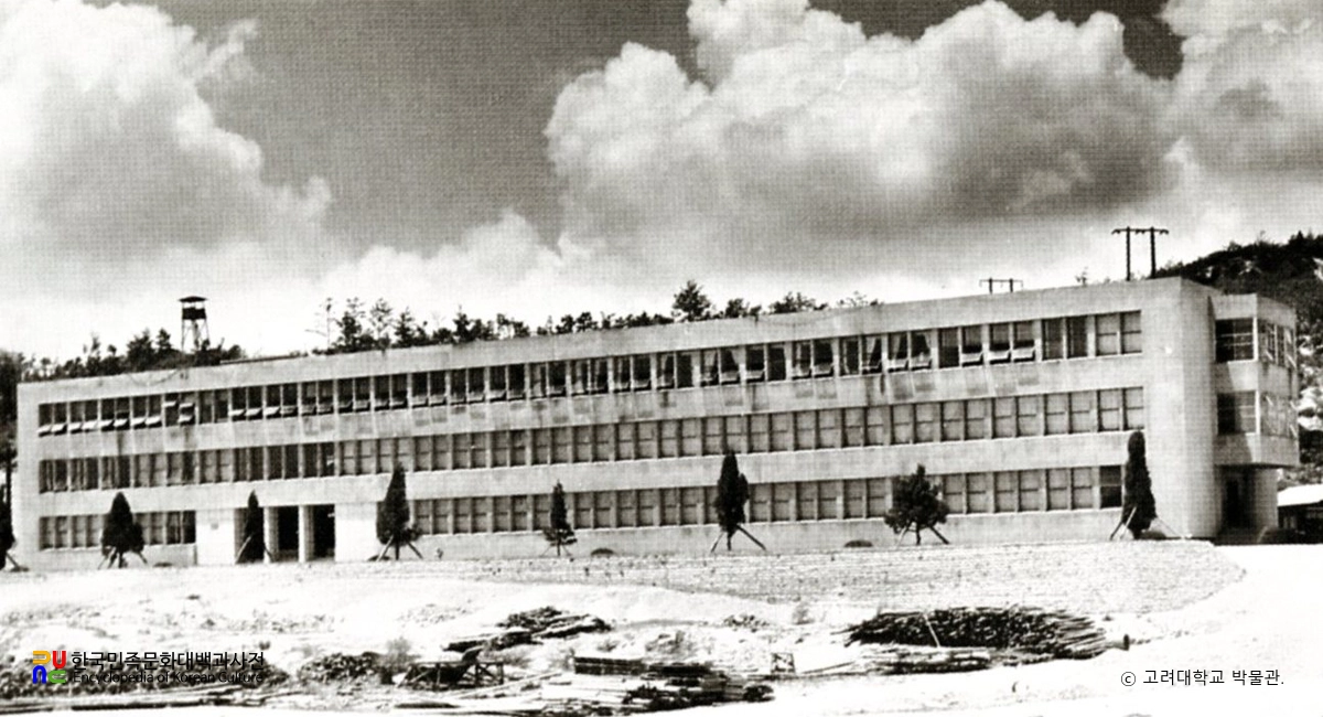 고려대학교박물관