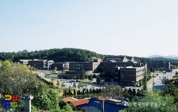침례신학보더 랜드 3 슬롯 머신