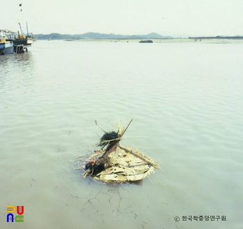 서해안 배연신굿 / 영정물림