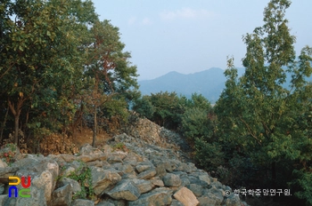 슬롯사이트 갈현성