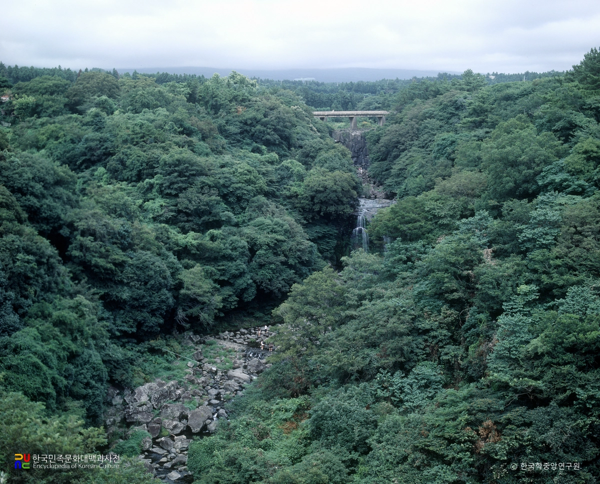 제주 천제연 난대림