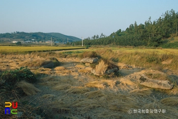 영암 청룡리 지석묘군