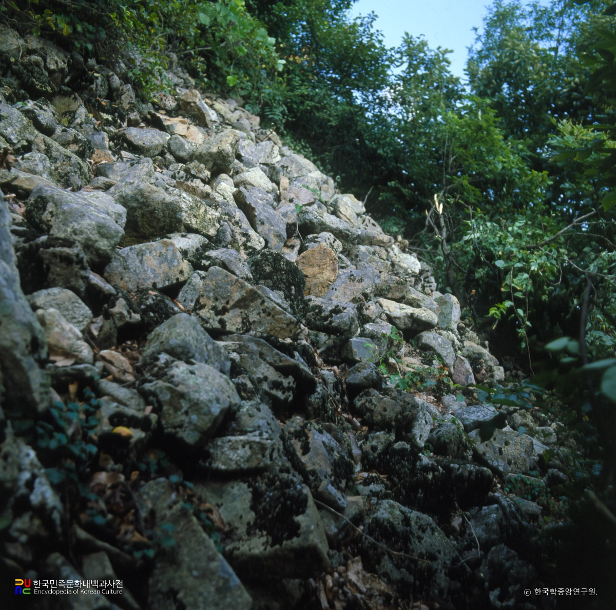 원주 견훤성 성벽