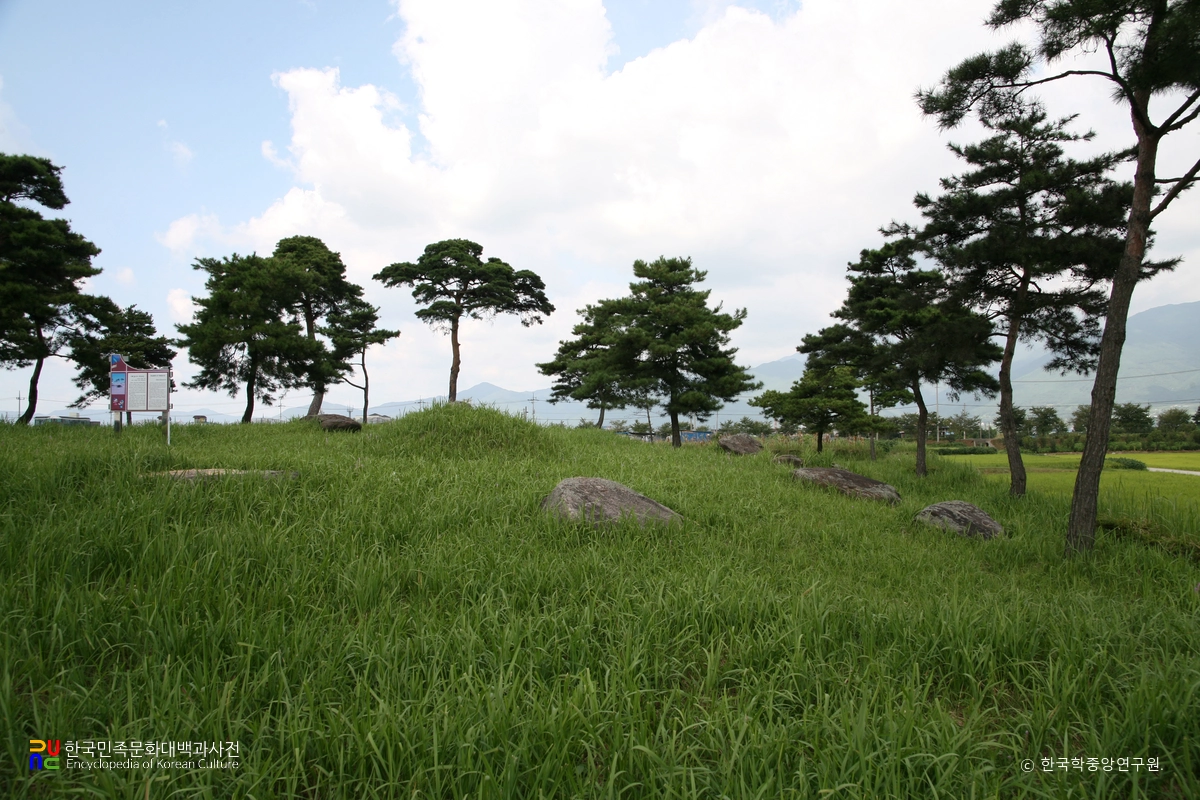 구례 봉서리 지석묘군 전경