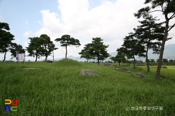 구례 봉서리 지석묘군 전경