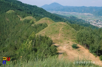 고령 지산동 고분군 전경