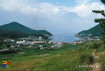 오션 스토리 슬롯