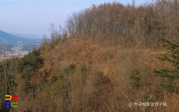 진천 도당산성 전경