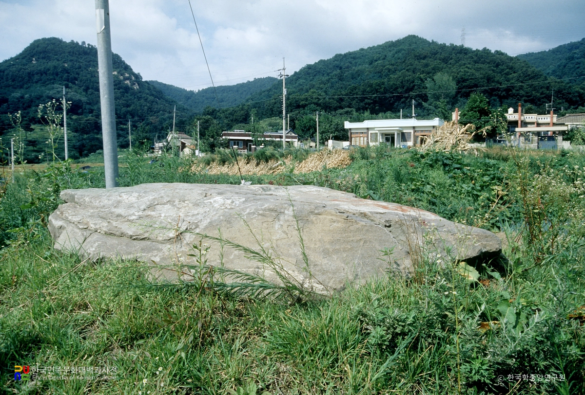 대전 비래동 고인돌