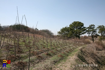 진천 석장리 고대 철 생산 유적