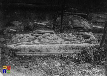 여주 고달사지 원종대사탑비 이수(수습 전)