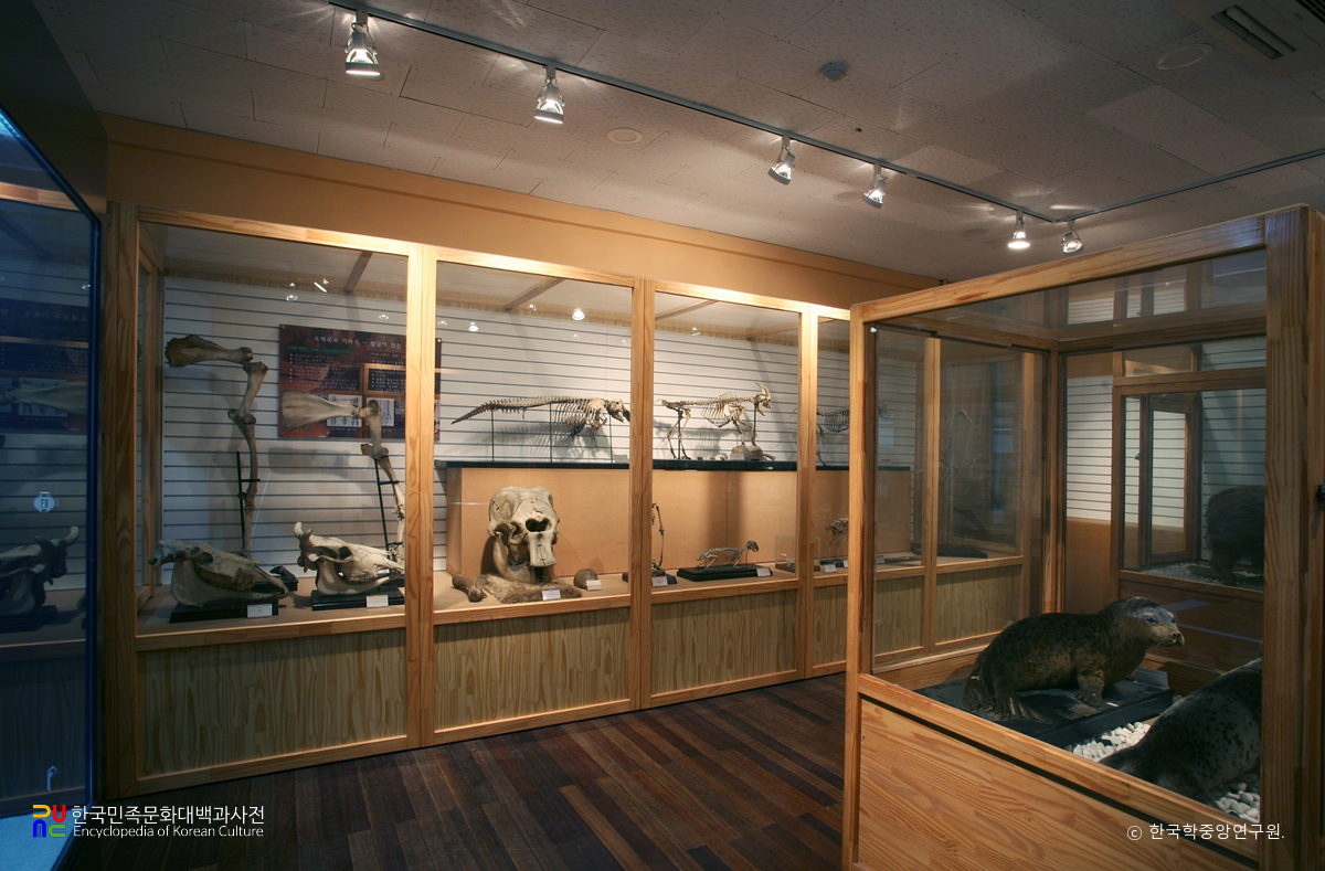 경북대학교자연사박물관 야생동물관