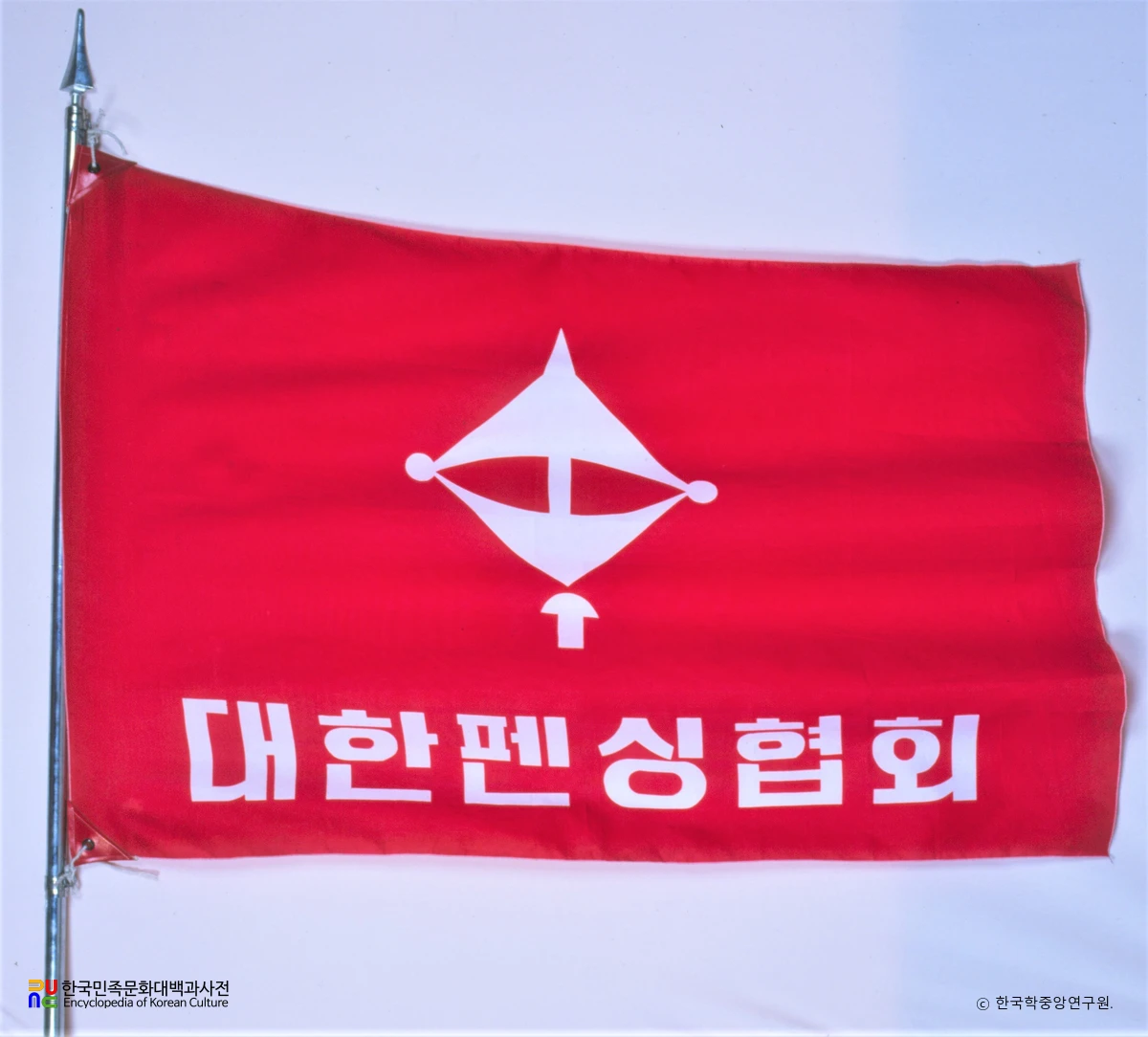 대한펜싱협회 기