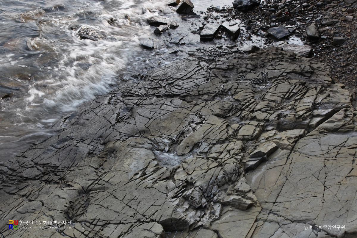 남해 가인리 화석산지