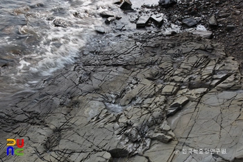 남해 가인리 화석산지