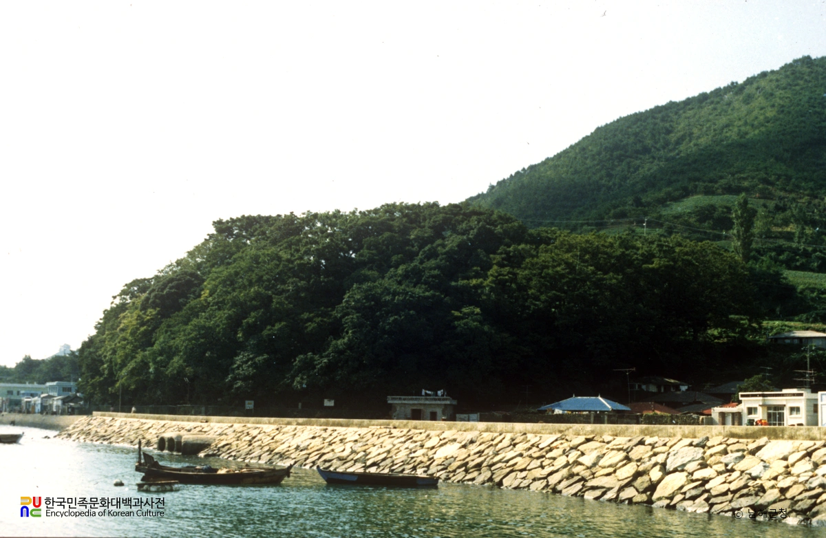 남해 미조리 상록수림