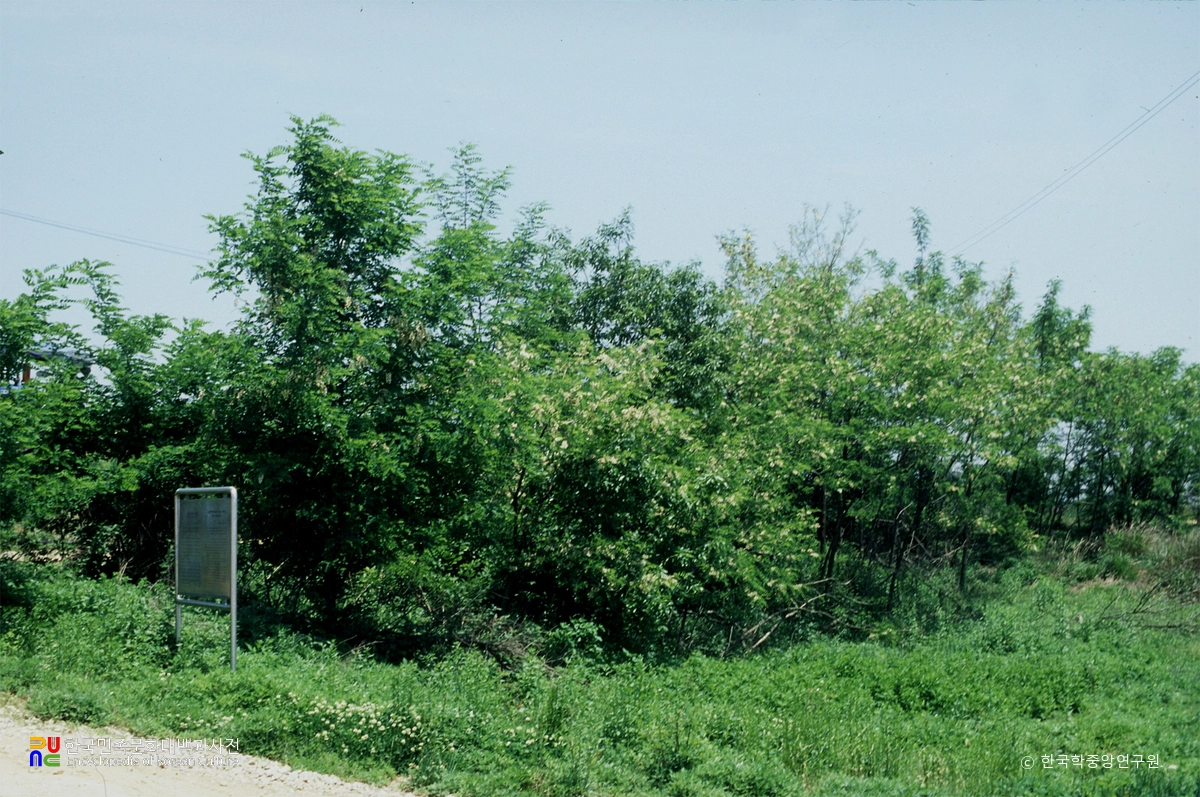 진천 산수리 백제요지