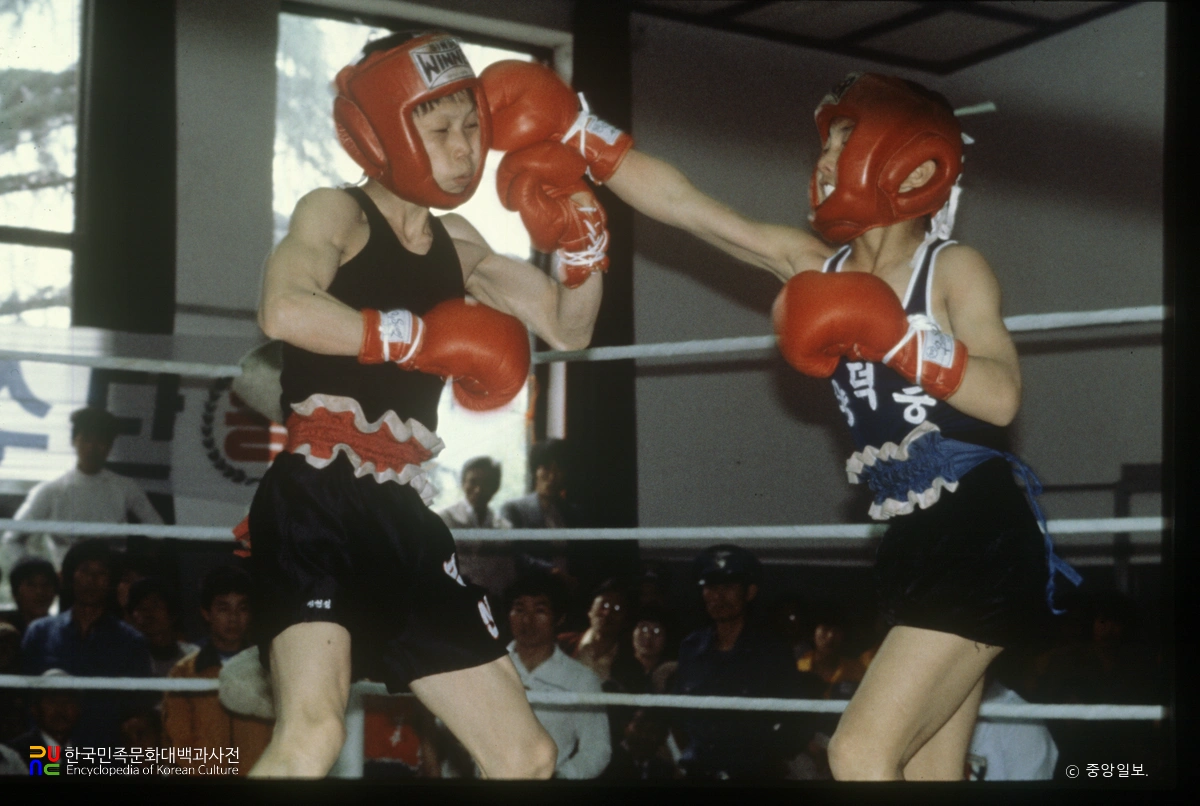 전국소년체육대회 / 복싱