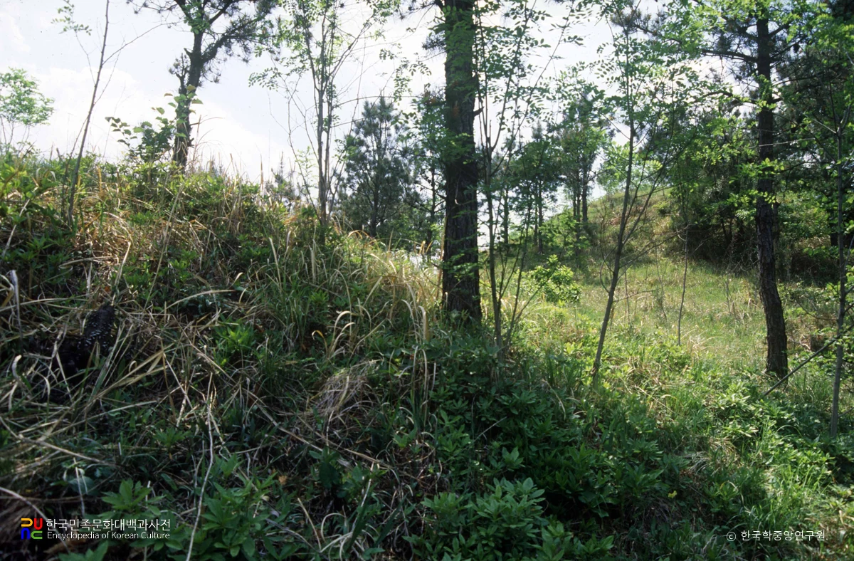 산청 생초 고분군