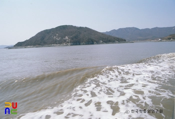 슬롯 머신 페이 라인