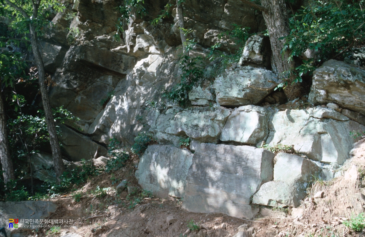 고령 안화리 암각화