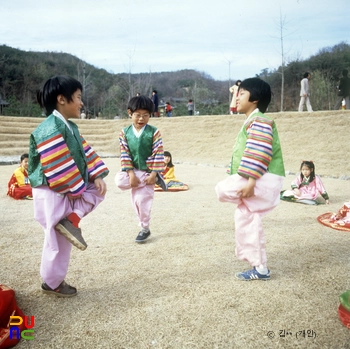 닭잡기(닭싸움)