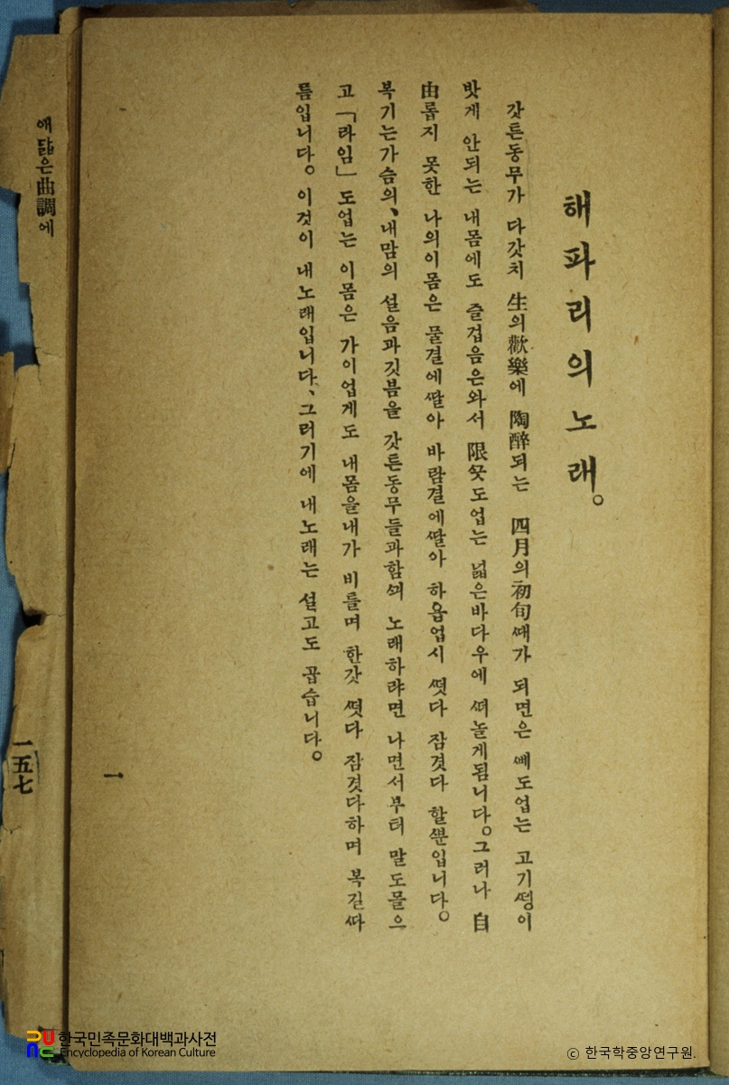 해파리의 노래 / 김억