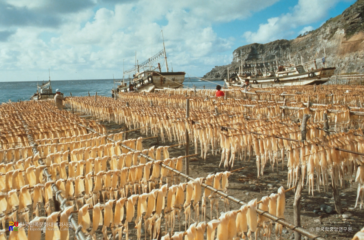 오징어 건조