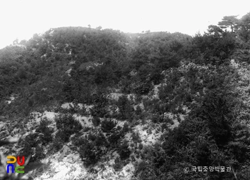 양산 신기리 산성 전경