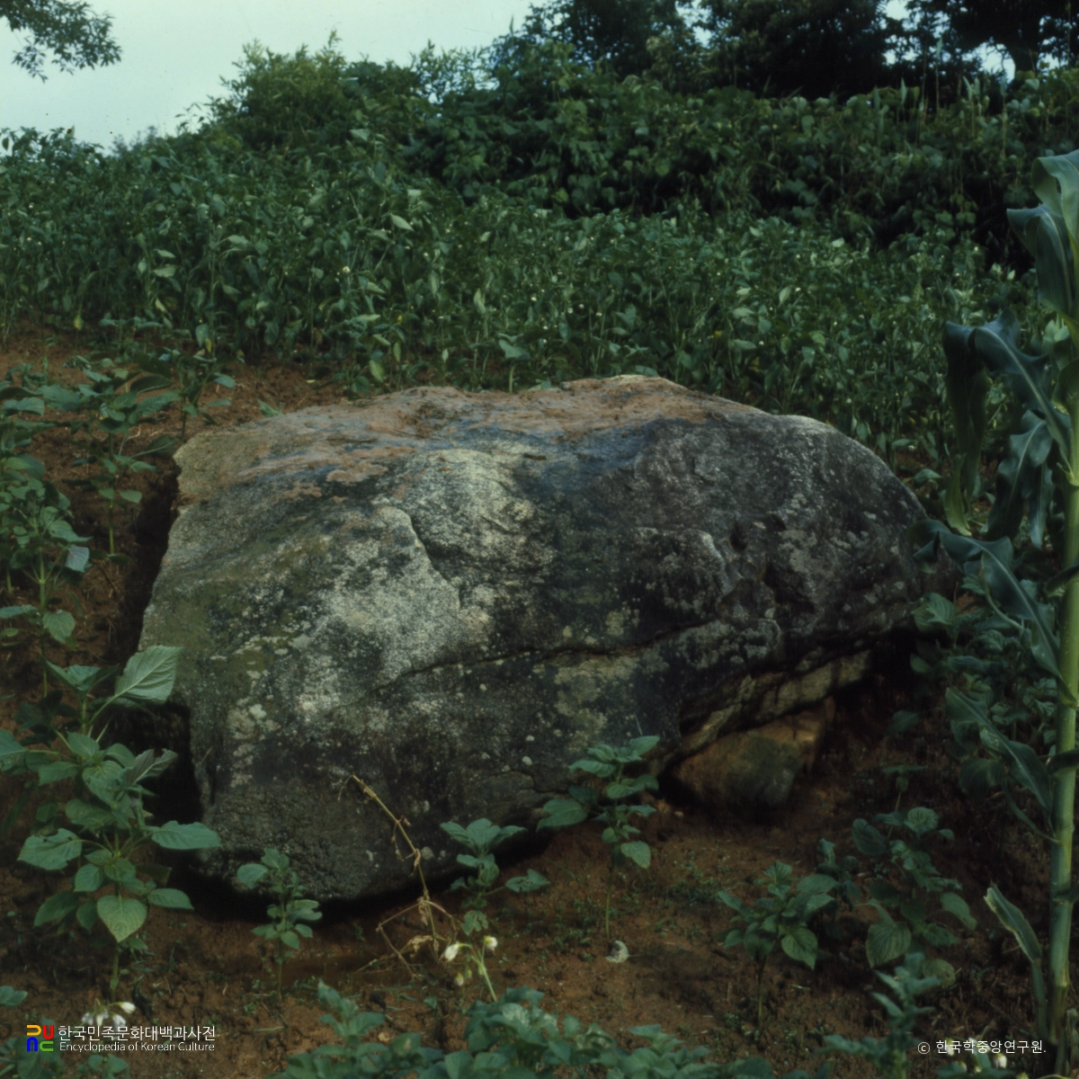 강원 고성 죽정리 유적