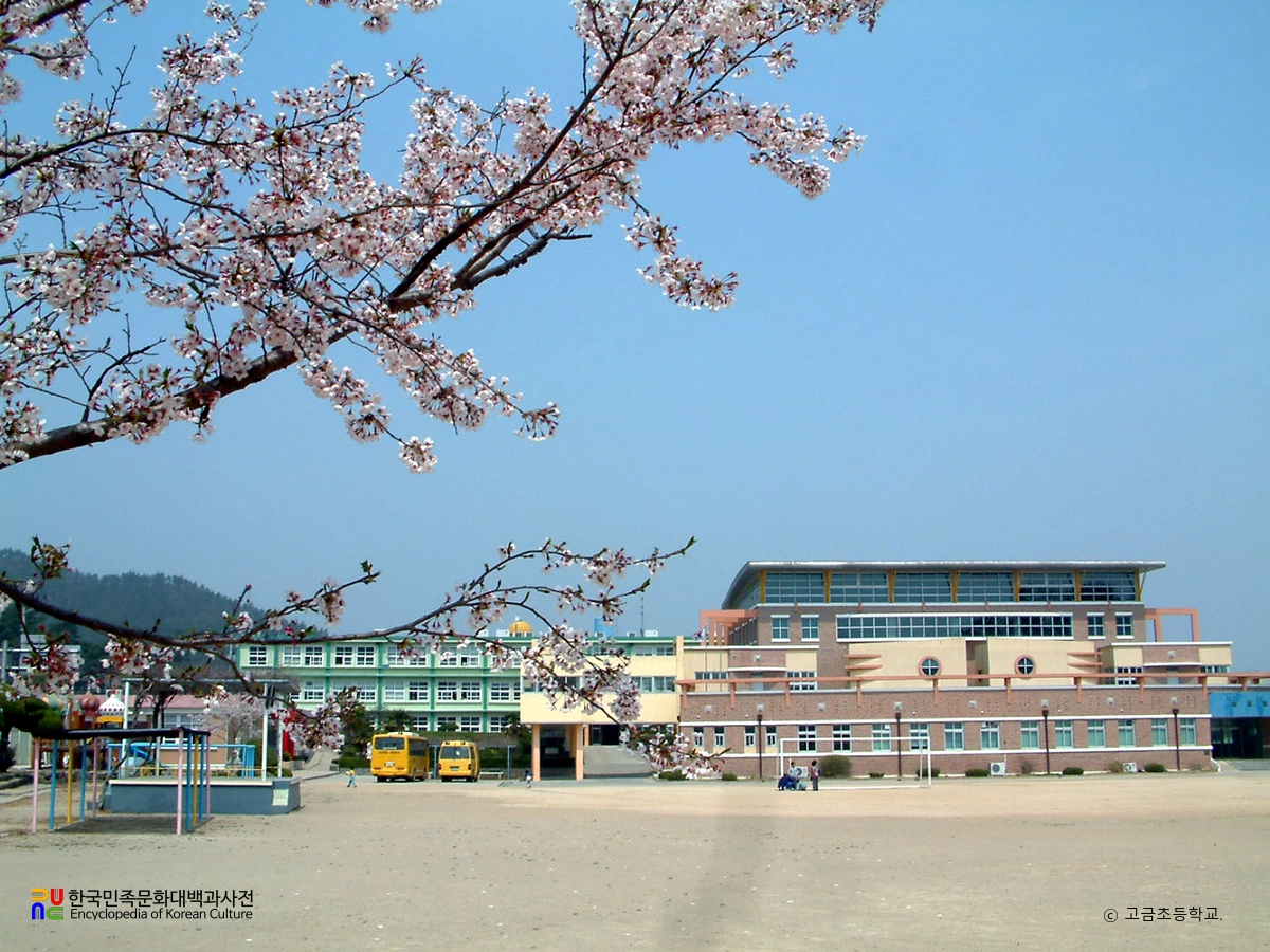 고금초등학교
