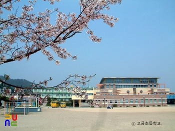 고금초카지노 쪽박걸4F1;학교