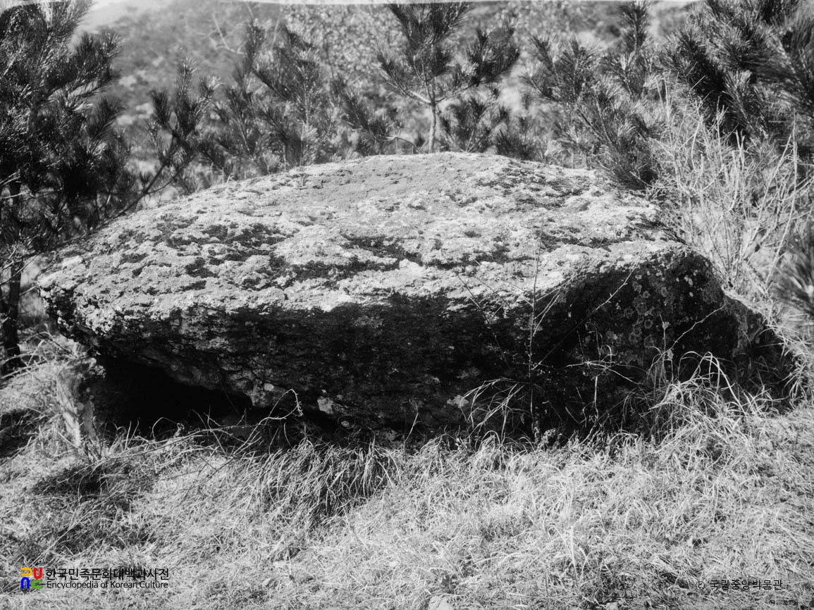 나주 노동리 동부 8호 지석묘 동면