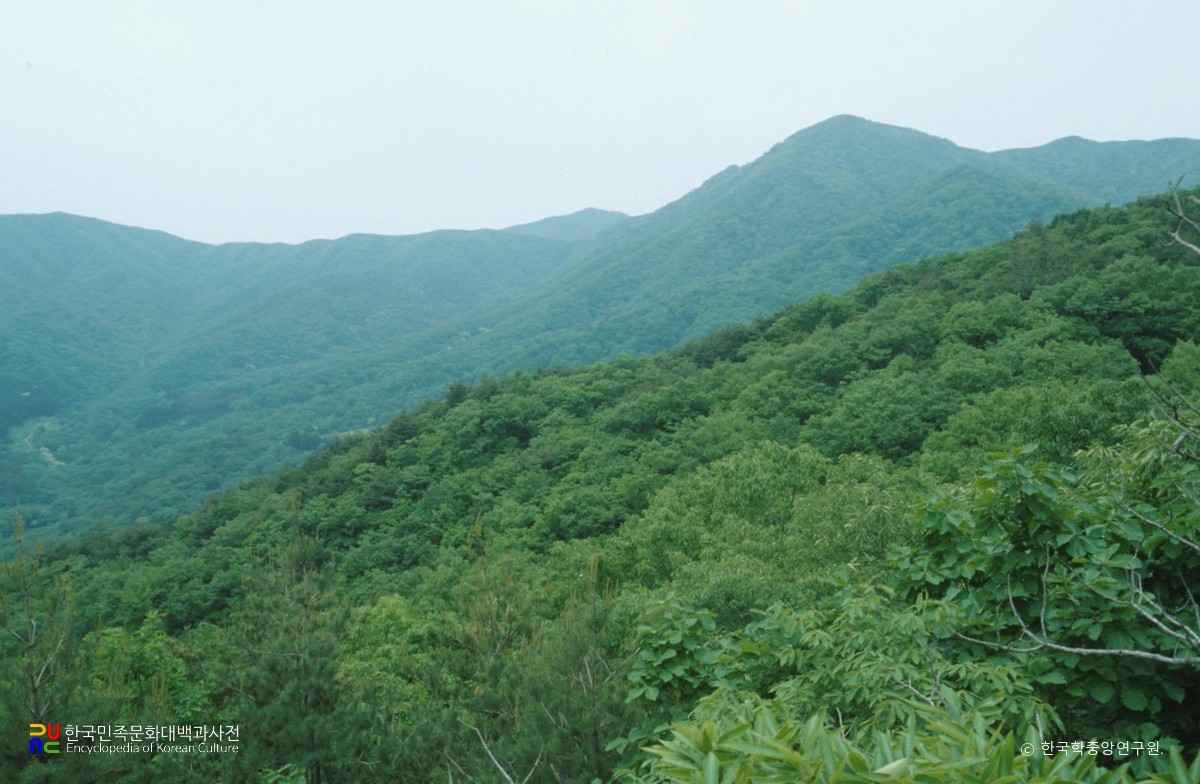 조계산 송광사·선암사 일원