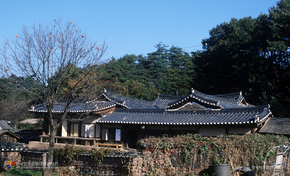 학초정 및 정침