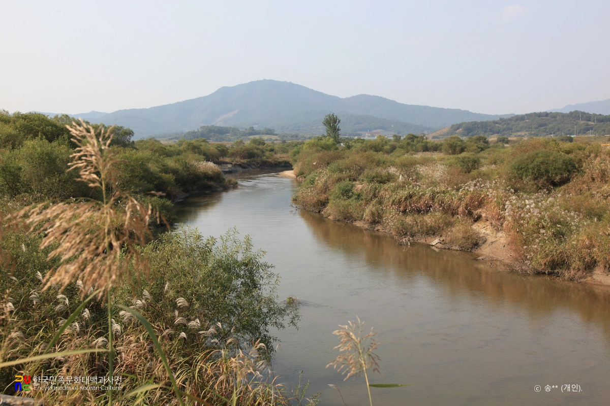 부여·청양 지천 미호종개 서식지