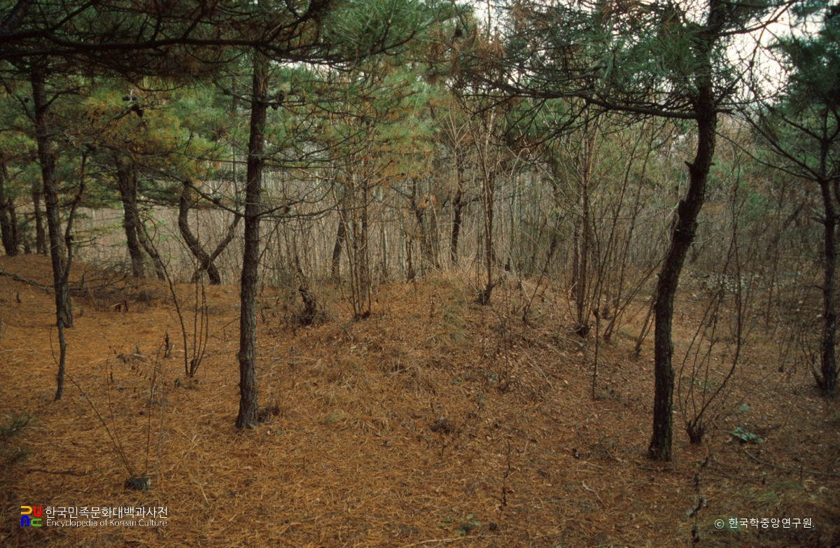 청주 신봉동 고분군